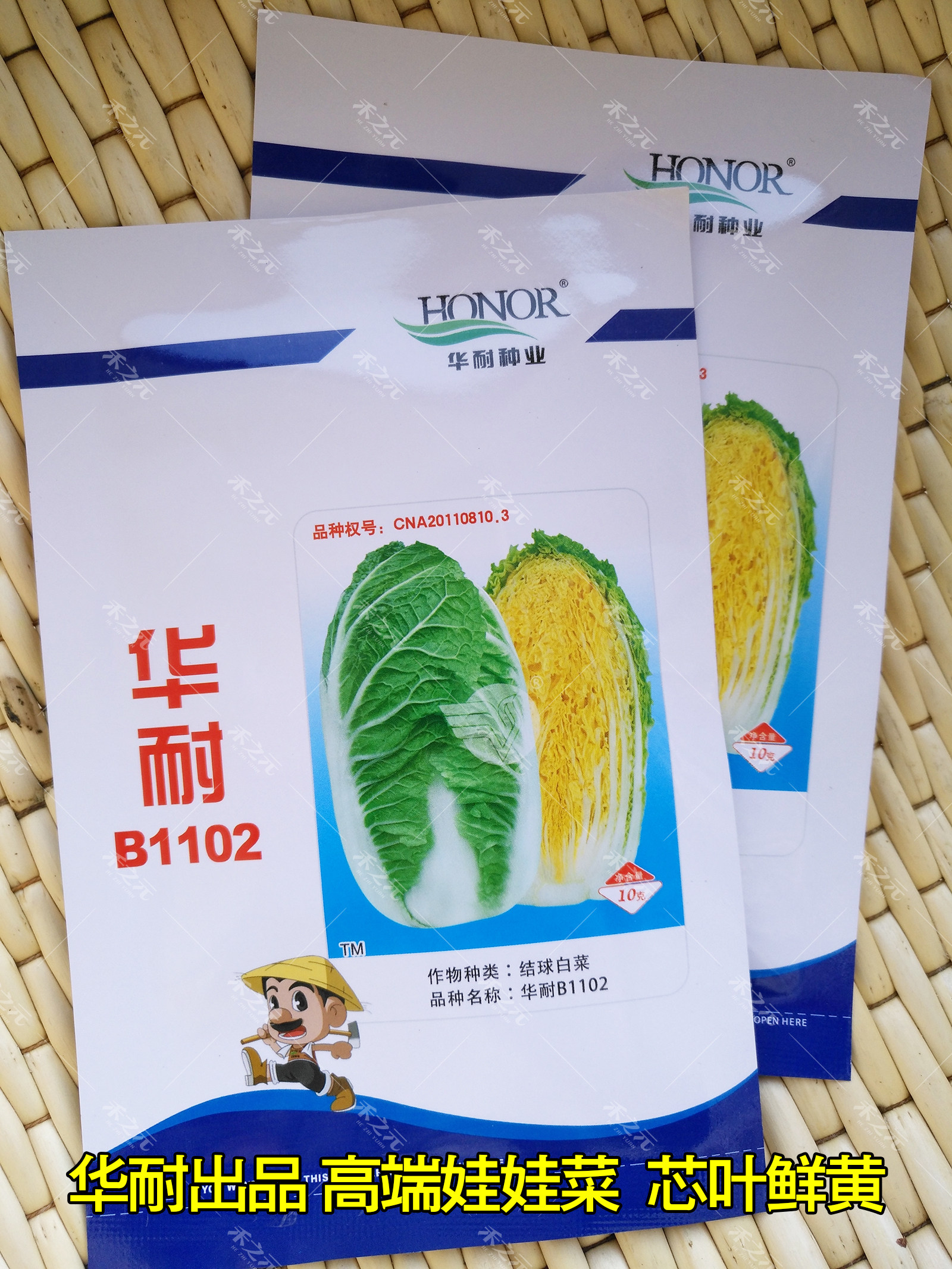 华耐黄叶秋播早熟蔬菜耐热黄芯韩国种子菜种家庭园艺种子