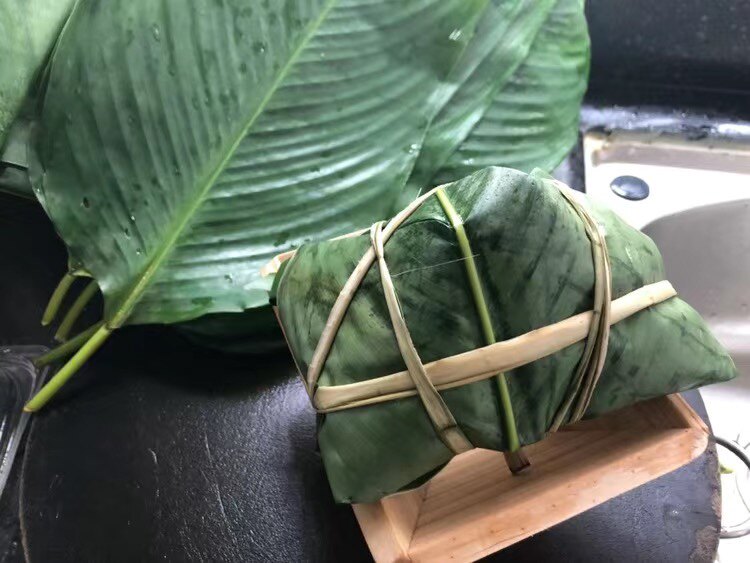 包粽子叶新鲜海南野生冬叶现摘现发滋粑绿叶行道树