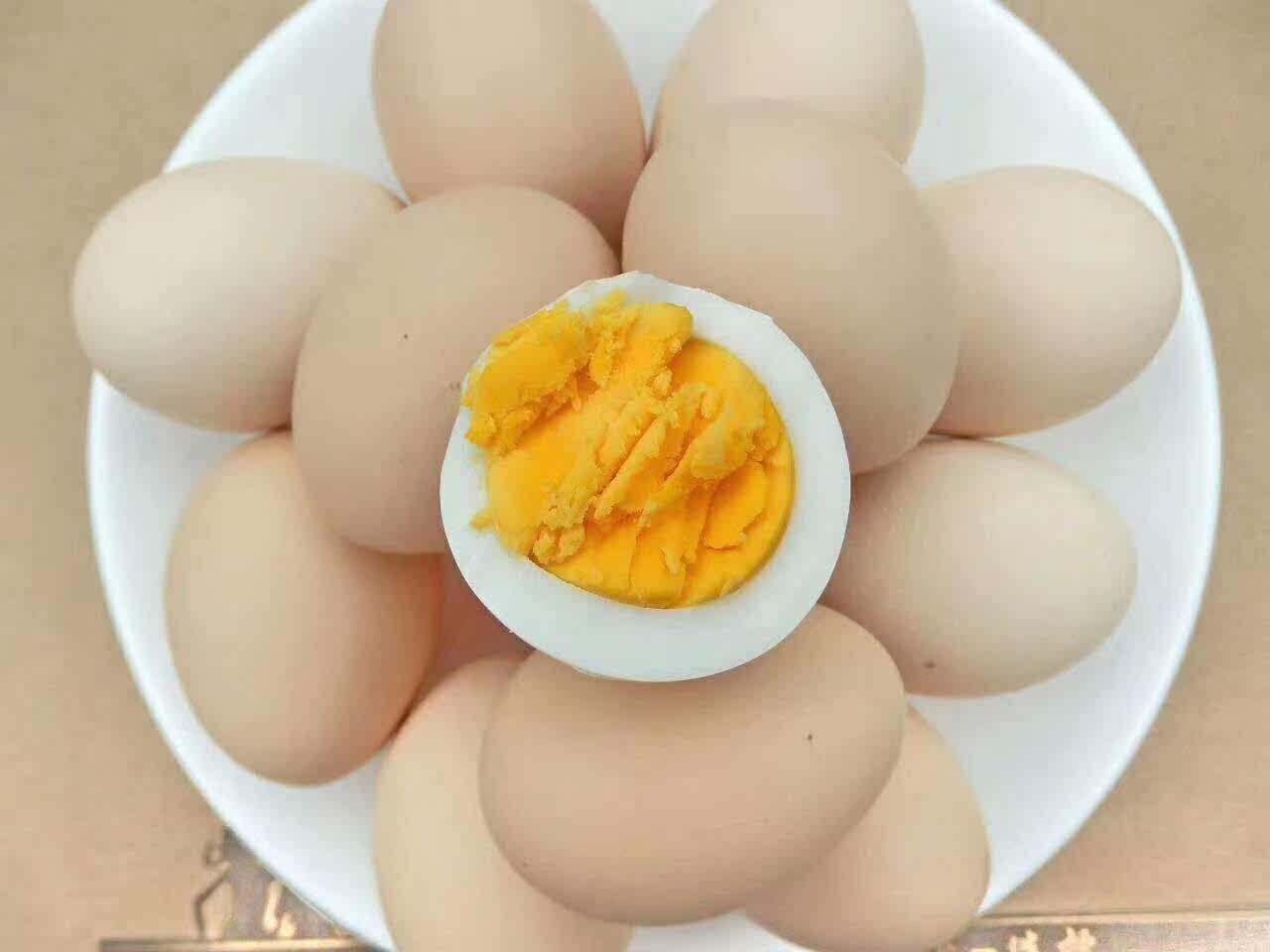 长阳土家族山旮旯大山林中散养吃虫草玉米土鸡蛋