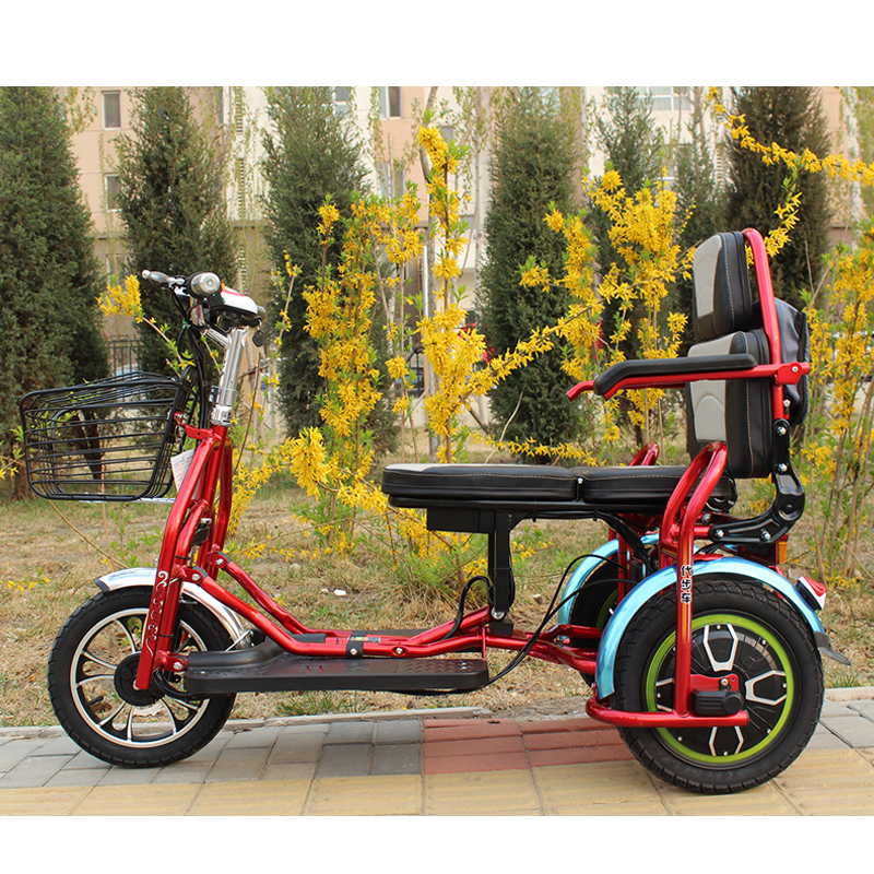 奥友老人代步双人折叠电动三轮车自行车铅酸锂电老年代步车