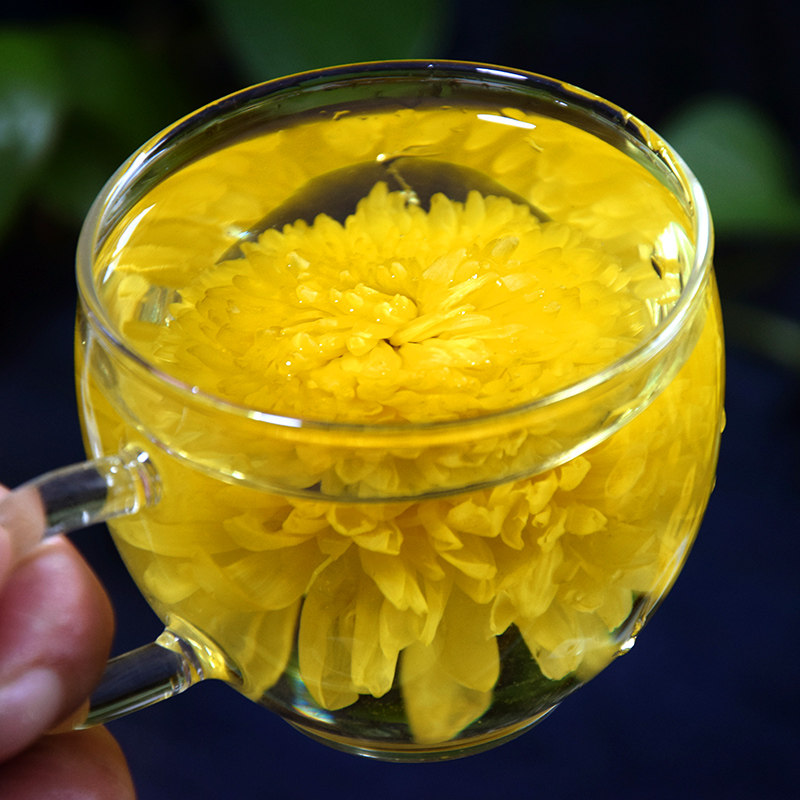 徽州大朵菊花独立婺源皇菊泡水枸杞黄菊黄山代用