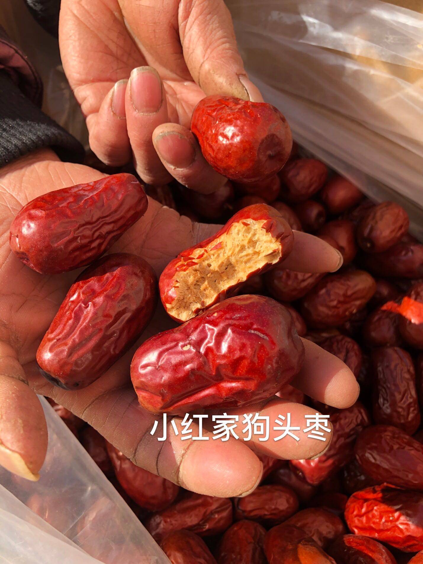狗头枣红红枣8斤80元陕北妹子家不带包装枣
