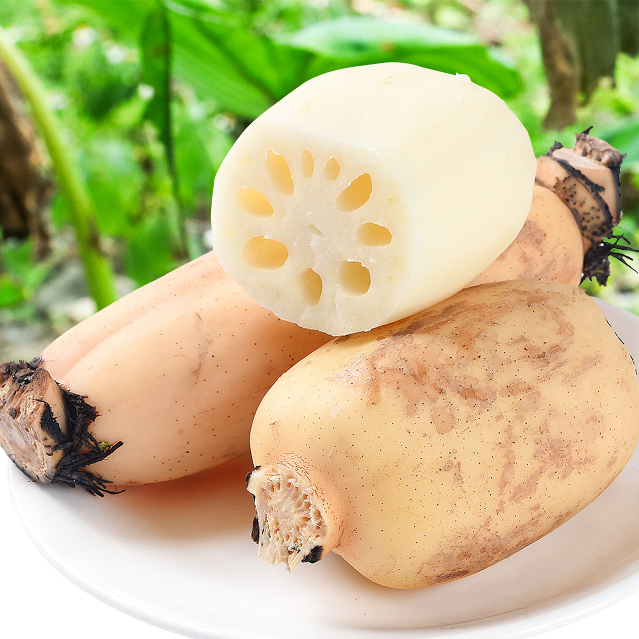 洪湖莲藕新鲜整箱5斤 特产九孔藕糯米粉藕尖煲汤脆藕带蔬菜包邮10