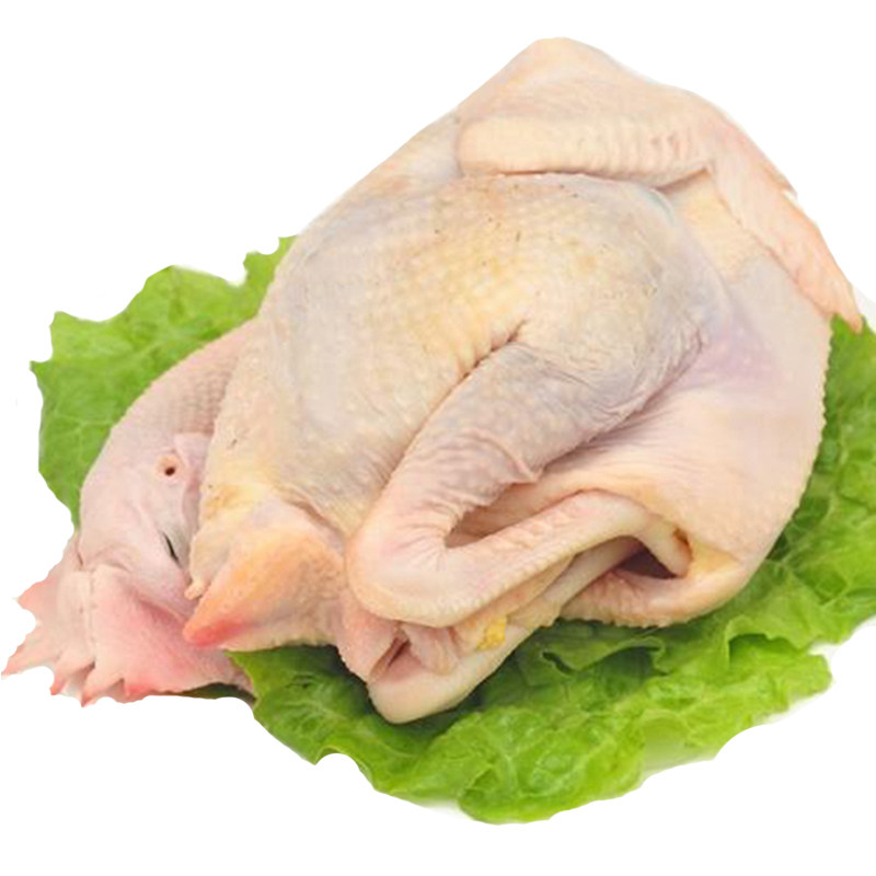 公鸡2只装正宗野外散养未打鸣童子鸡草鸡活鸡整鸡