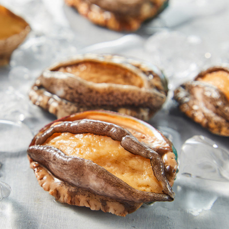 连江鲜活鲍鱼大个500g9-10头新鲜捕捞海鲜水产活鲍鱼