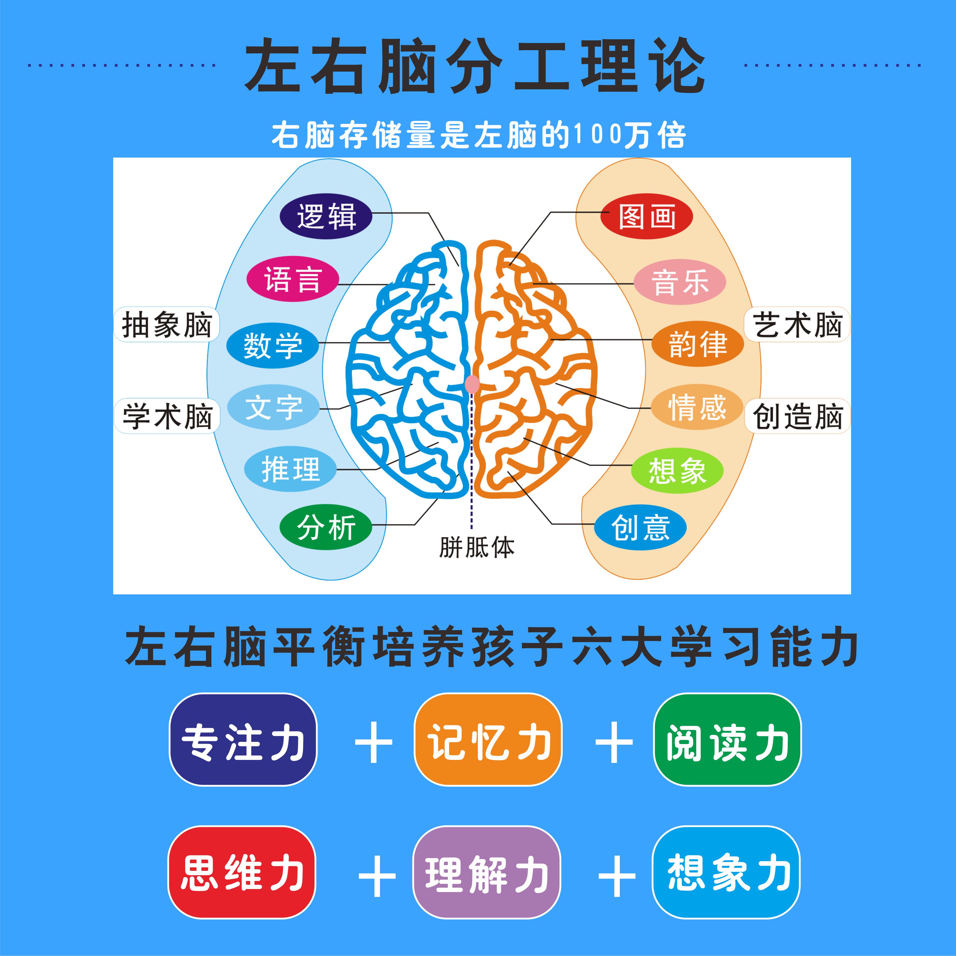 左右全脑教具右脑开发儿童控笔轨迹精细动作早教闪卡