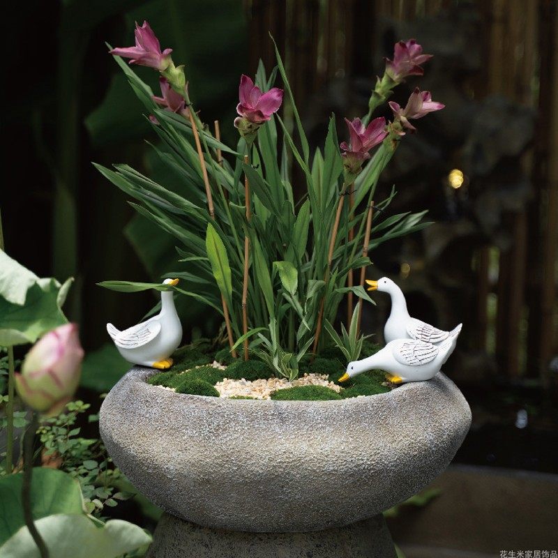 绿植花盆庭院花园户外外水创意水养盆造景装饰花盆