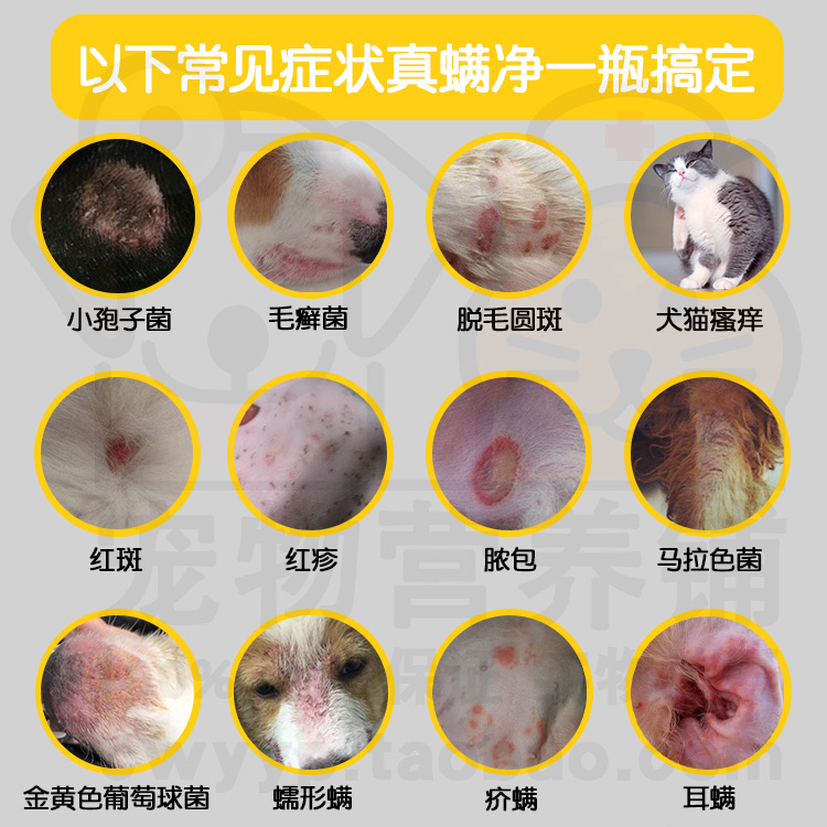 德国瑞沃特真螨宠物宠物狗狗狗猫咪螨虫皮肤病喷剂其他