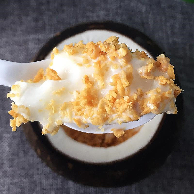 喜茶生打椰椰椰奶冻椰皇冻粉椰子椰奶布丁粉奶果冻