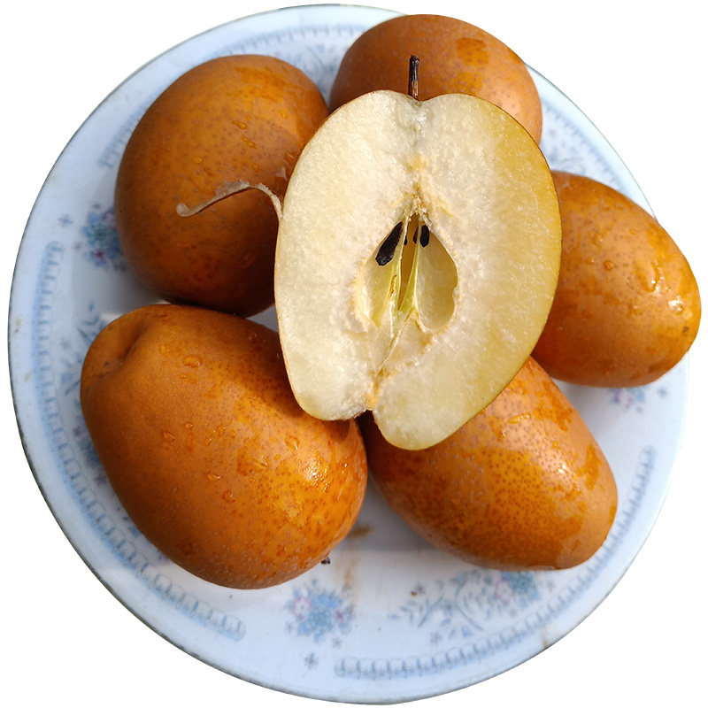 沙梨水果包邮新鲜野生金珠果小黄秋月梨