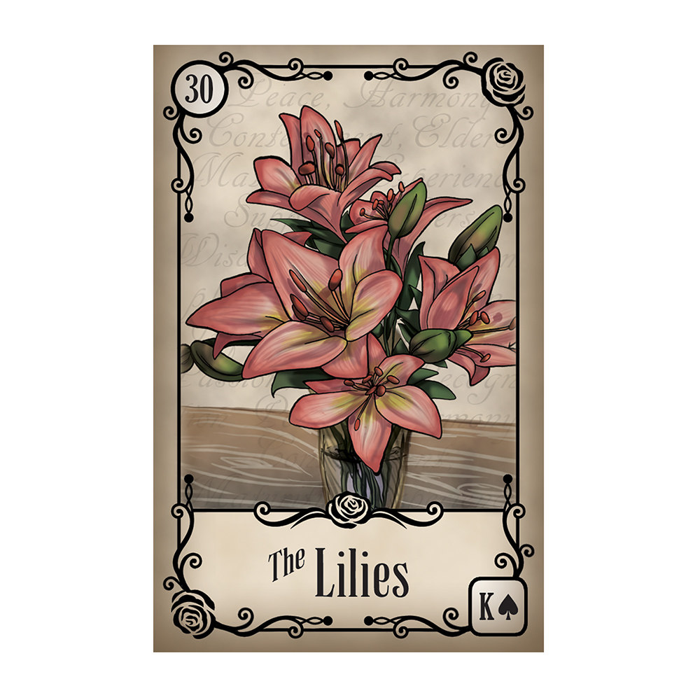 现货进口正版玫瑰之密利诺曼卡undertheroses桌游卡牌