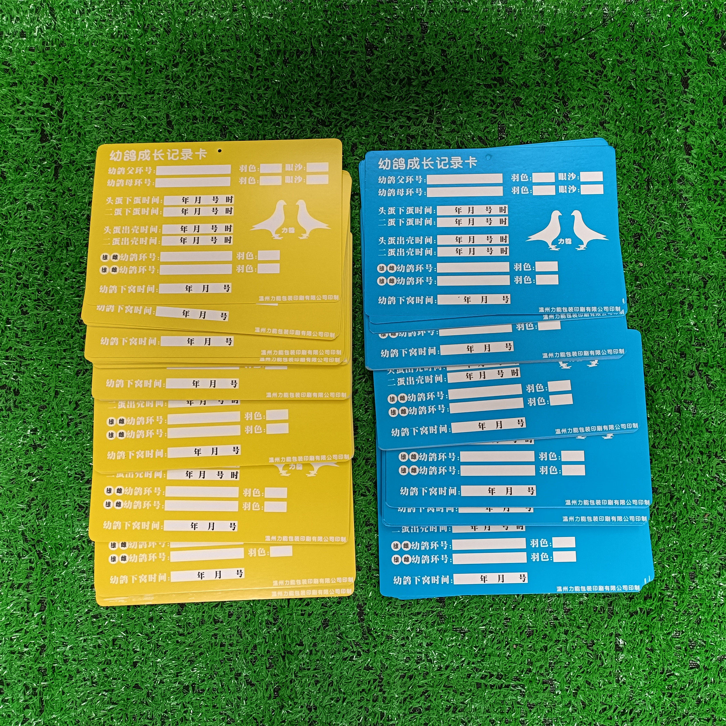 直系一套鸽子养殖表册用品具幼成长记录配对登记其他