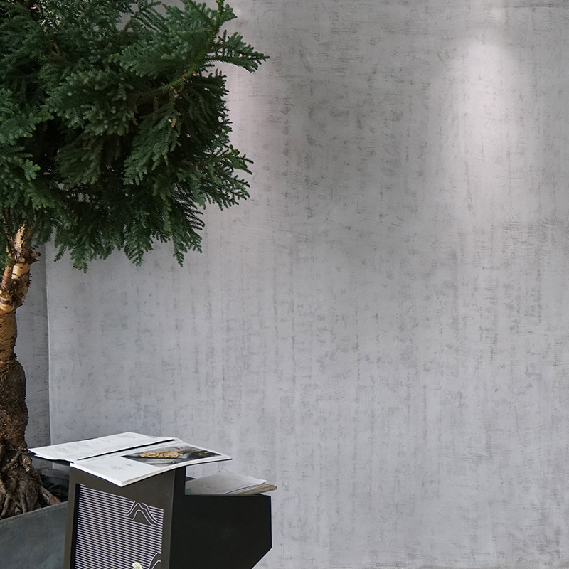 水泥墙面涂料清水混凝土室内漆艺艺术工业装饰艺术涂料