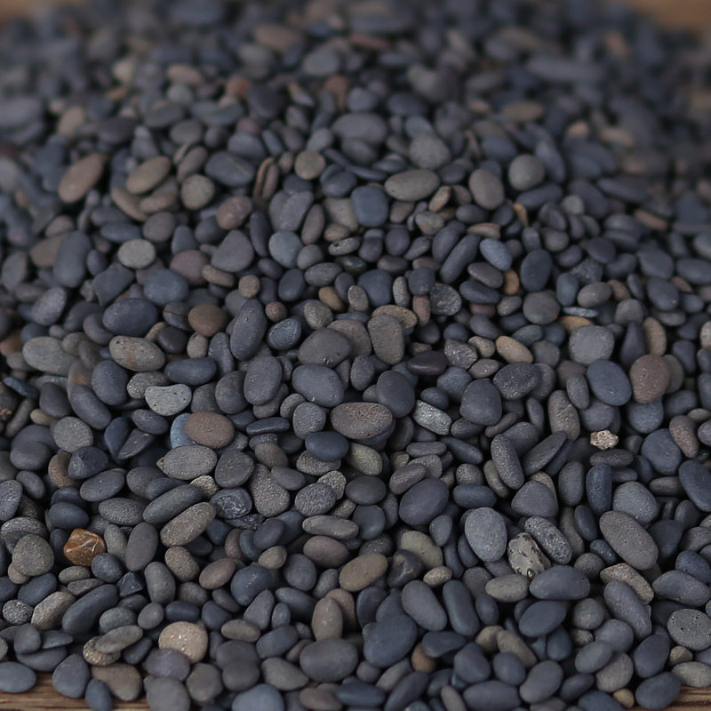 铁胆水族鱼缸造景小石头砂石鳌虾工砂乌龟装饰造景