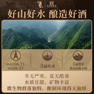 董酒小董密琥珀金/宝石蓝41度280ml清雅董香裸瓶白酒调酒品鉴装