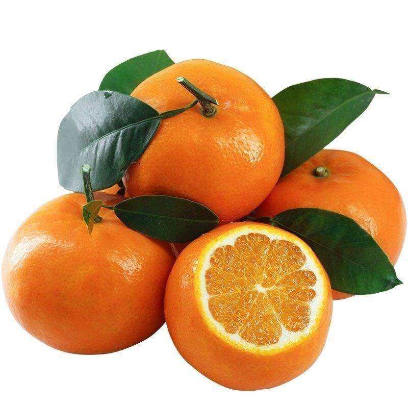 南非柑橘进口沃柑橘子新鲜水果3斤桔子