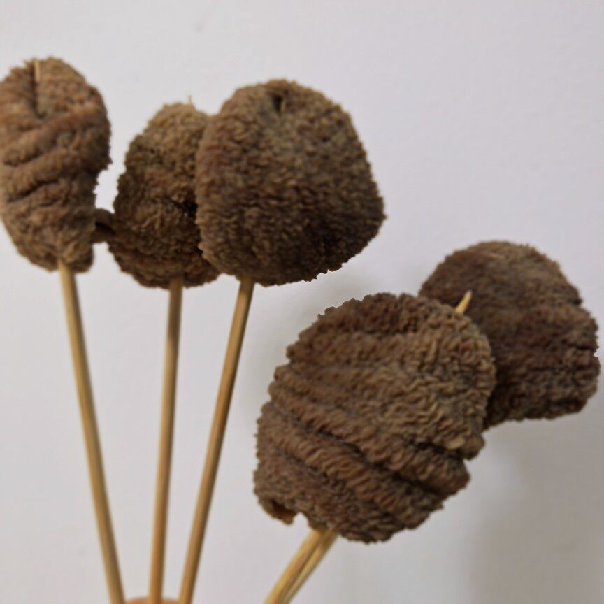 卤味火锅串串新品鸡毛肚素肚鸡副产品5包5斤其它鸡肉类