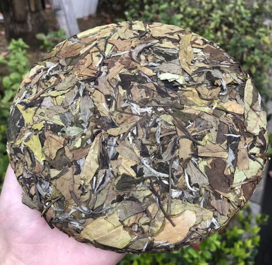 买三送一2017正宗福鼎白茶白茶饼老白茶饼寿眉饼300g