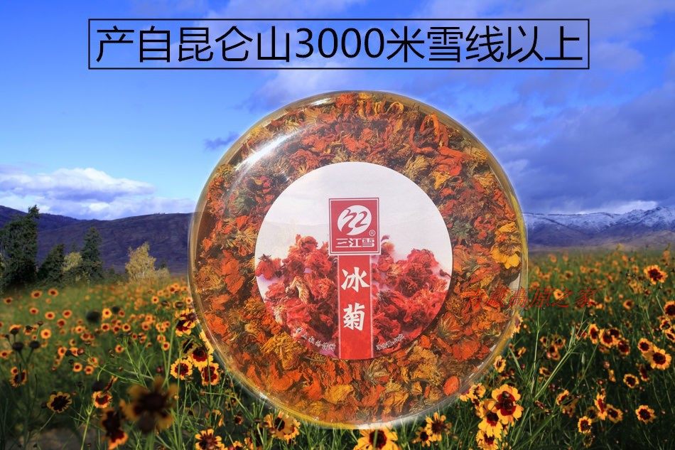 冰菊青海三江江雪昆仑山3000米高寒西域冲泡花茶代用