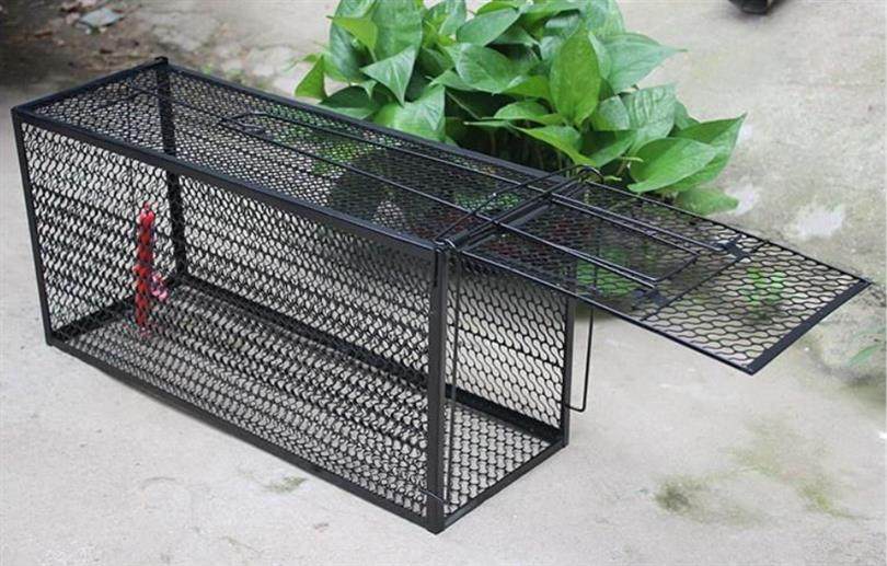 捕鼠老鼠灭鼠捉抓全自动连续神器扑捉黄灭鼠笼子笼子