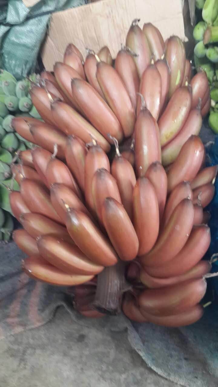 蕉红新鲜火龙美人香蕉水果贵妃蕉非海南皇帝其它