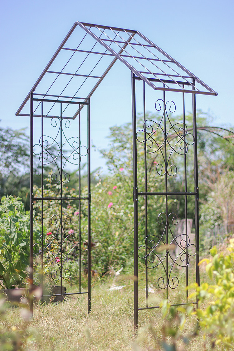 花架创新花园铁艺房子拱门爬藤藤架园艺铁线莲花架