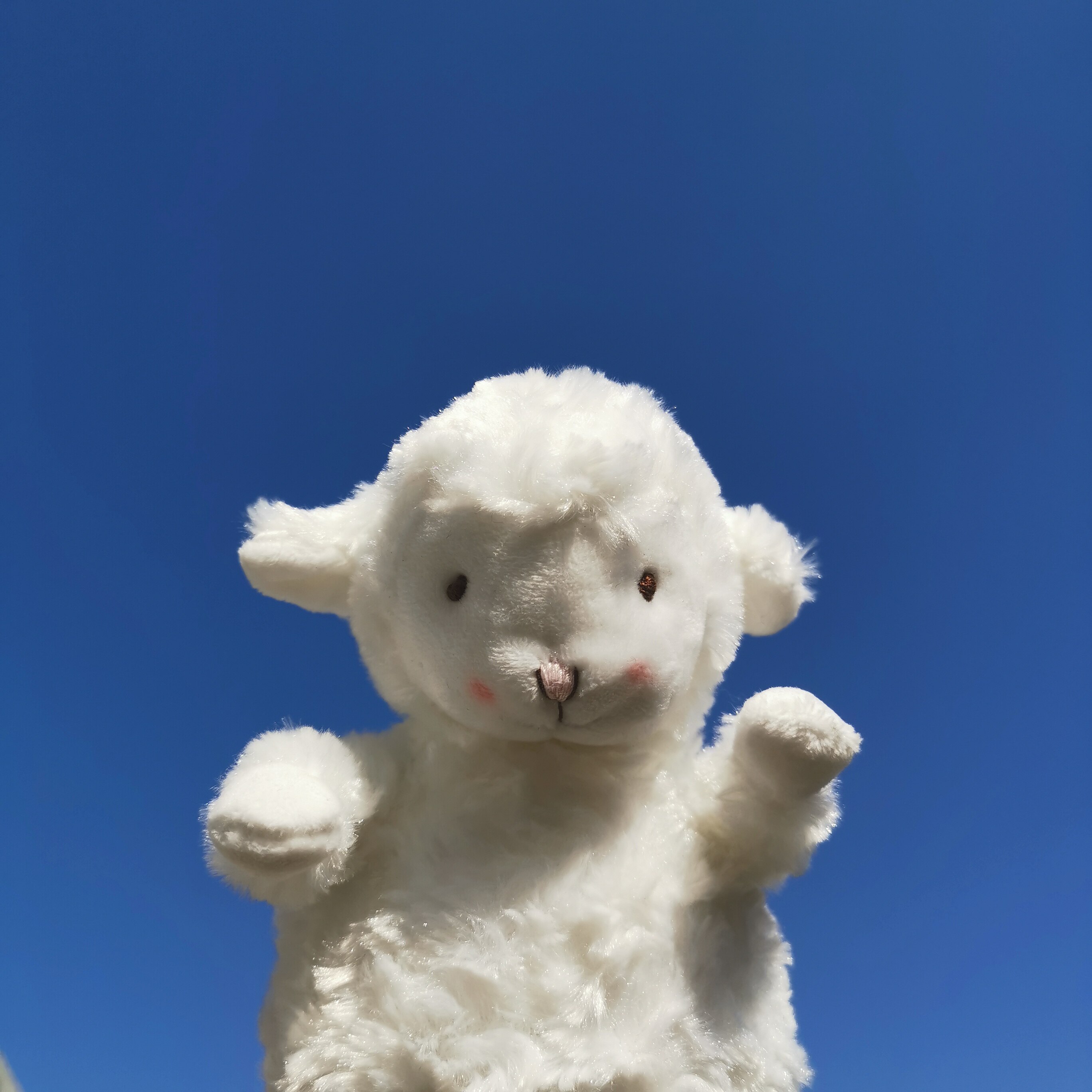 ins治愈腮红公仔坐姿绵羊玩偶小羊毛绒玩具少女毛绒布艺类玩具