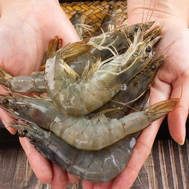 顺丰包邮4斤国产大虾南海海基围虾海鲜水产冻虾