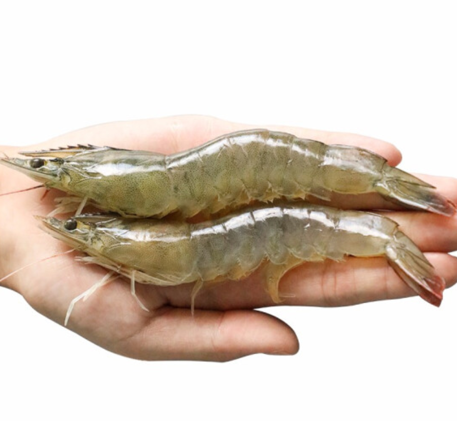 顺丰包邮 4斤海捕国产大虾南海基围虾 海鲜水产烧烤火锅食材超大