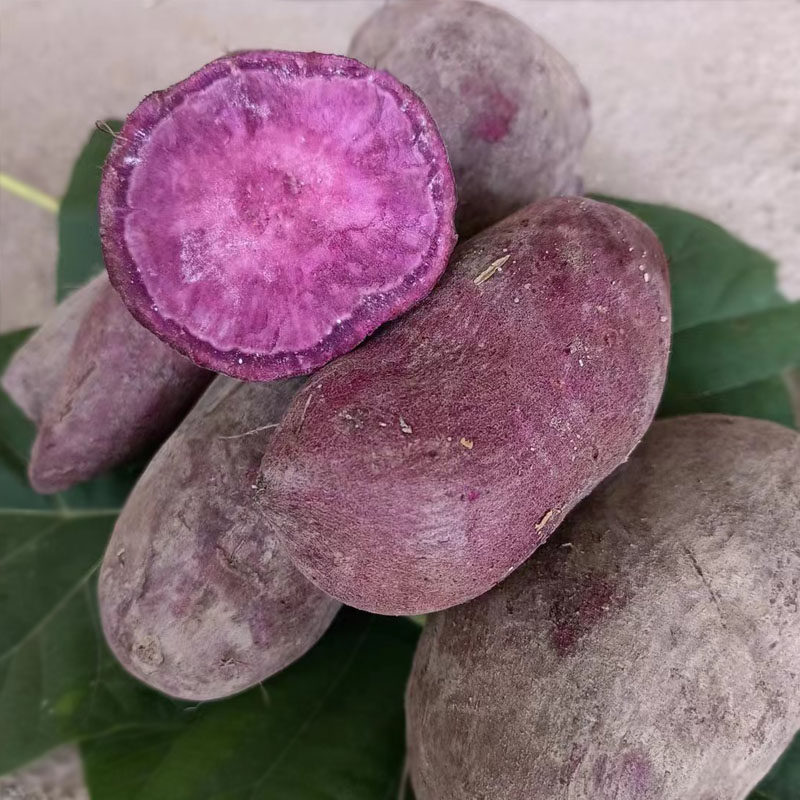 蜜薯新鲜紫薯湖南沙地紫心农家现挖低糖富硒番薯