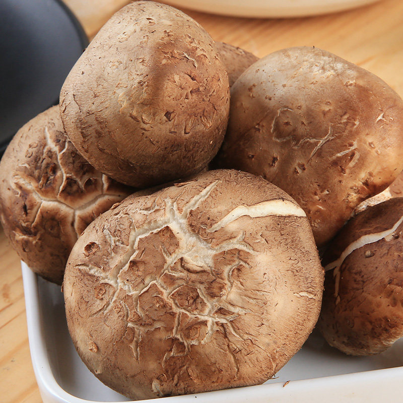 有机香菇125g新鲜菌菇鲜香美味新鲜松茸