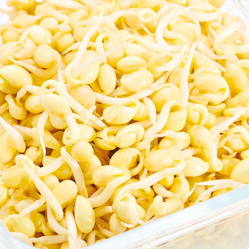 菜源精选黄豆芽豆芽400g新鲜豆类