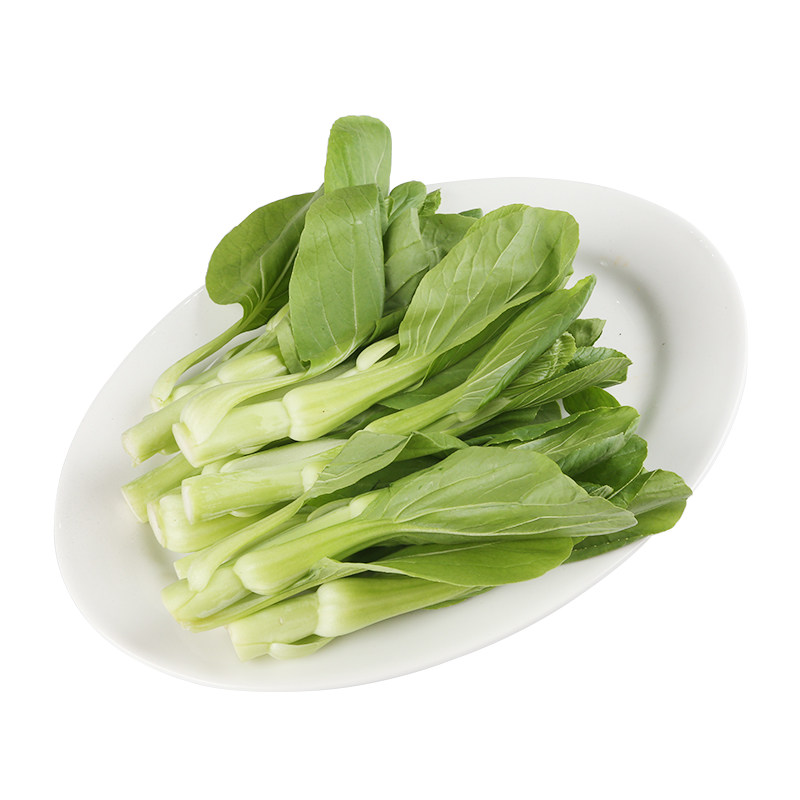 天然农耕菜心300g叶菜类