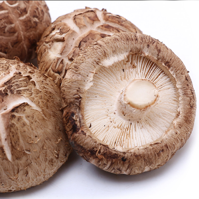 花菇160g新鲜菌菇菇香浓郁新鲜松茸