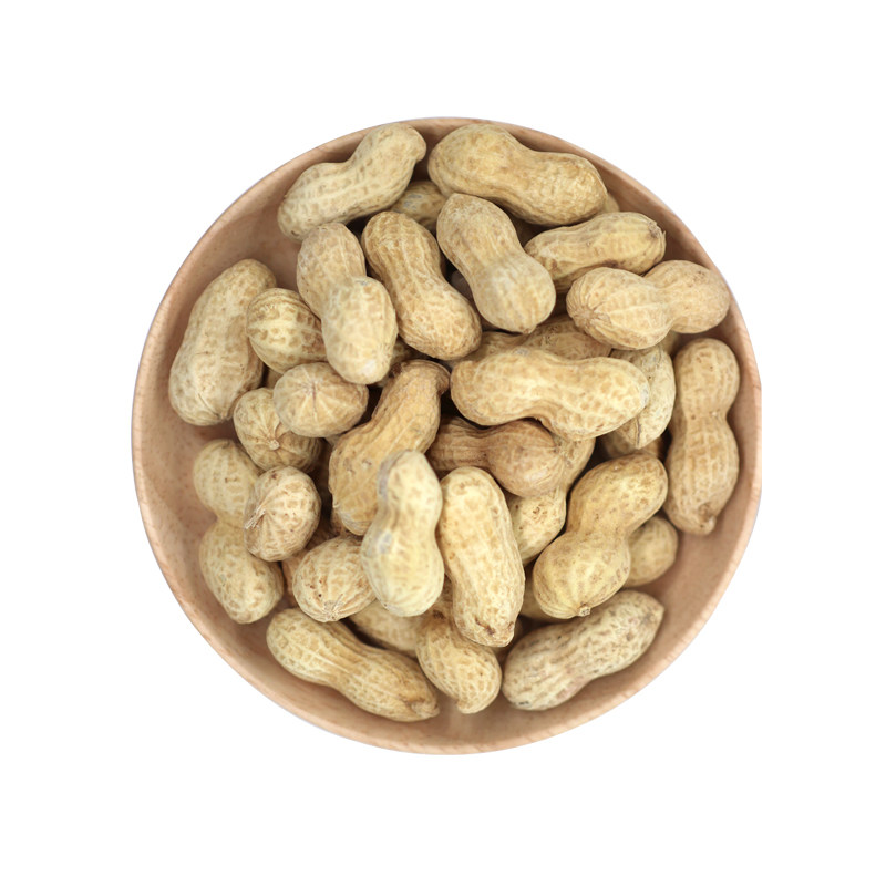 核桃花生花生花花生米花生