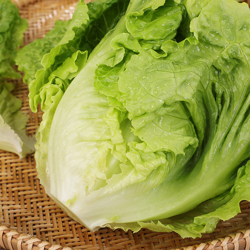 8元10折距离结束:1天23时59分30秒高山生菜3000人收藏天猫超市扫码有