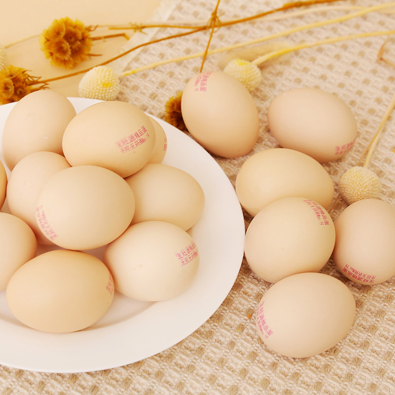 旺源无抗精品鸡蛋20枚鸡蛋