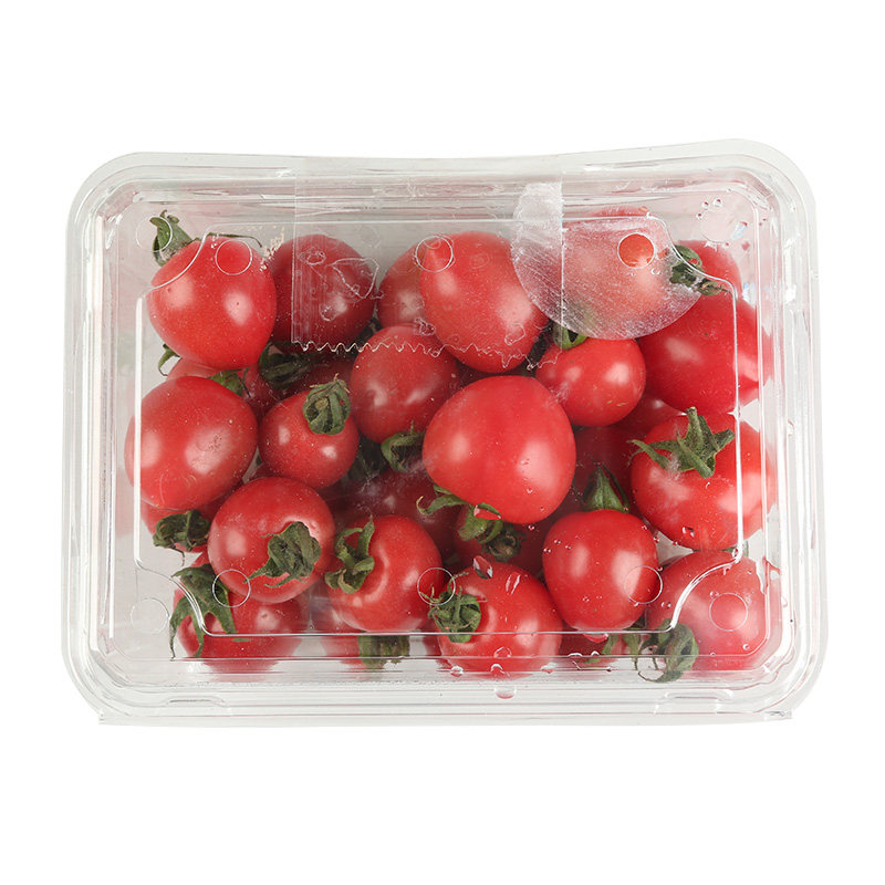 贝贝小番茄樱桃圣女果500g份新鲜鲜果美味时令酸甜可口