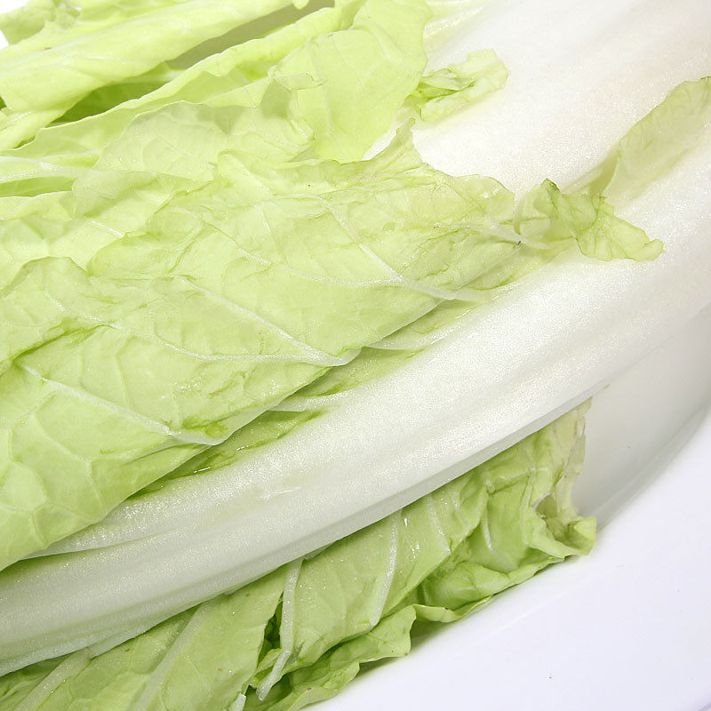 日日鲜本地白菜550g/份新鲜食用口感细腻蔬菜-mc母婴网