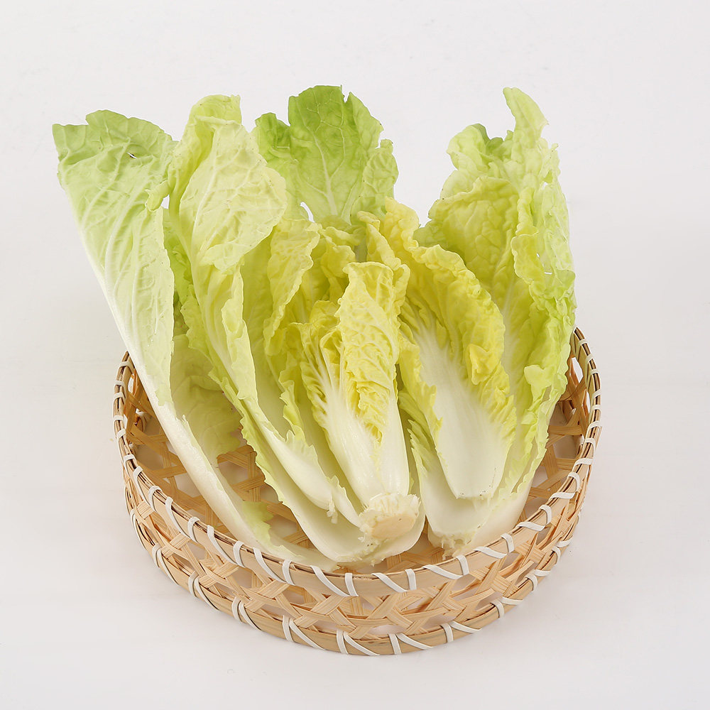 无公害普通白菜天津350g叶菜类