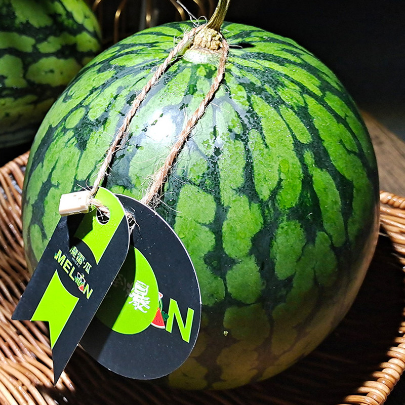 3-1.5kg魔雷西瓜称重西瓜