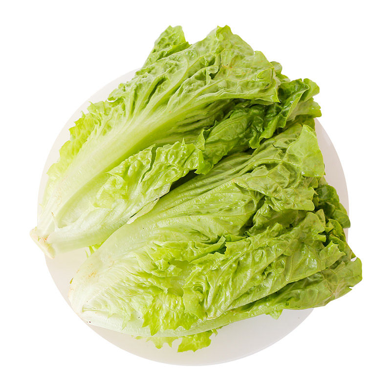 每日云南生菜300g叶菜类