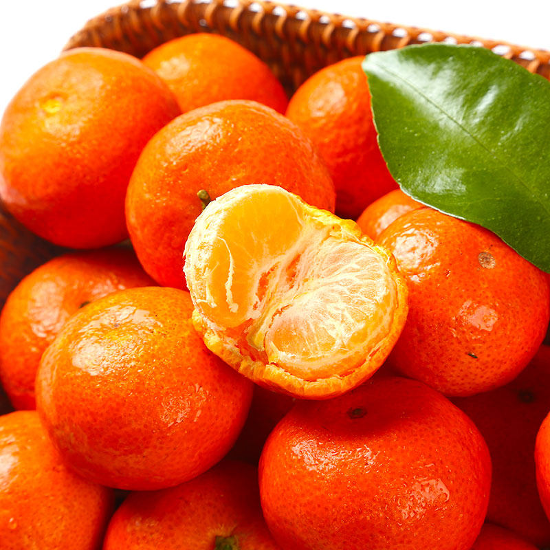 砂糖蜜桔500g桔子