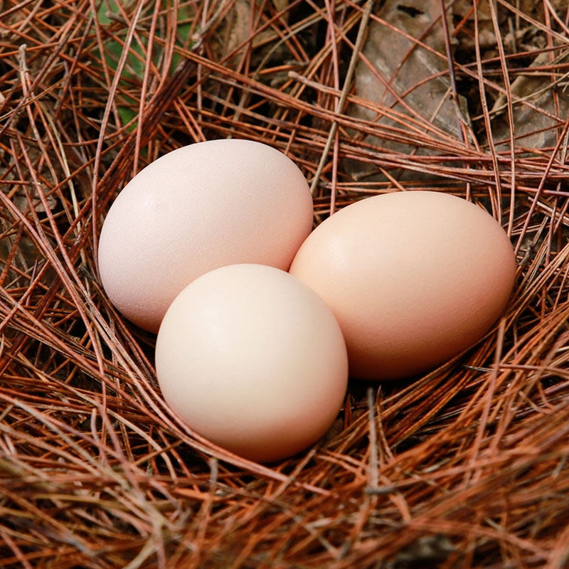 椰之村桑叶鸡蛋10枚鸡蛋