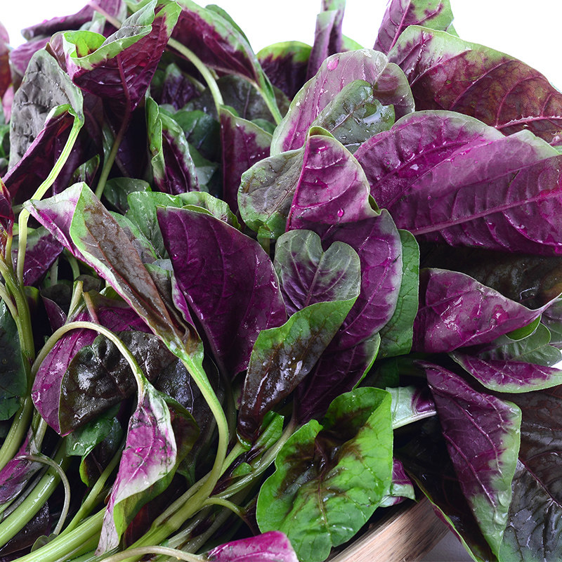 苋菜300g红米蔬菜叶菜类