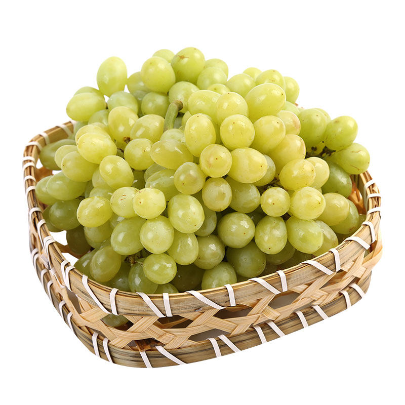 当季珍珠葡萄500g美味蜜汁即食新鲜水果葡萄
