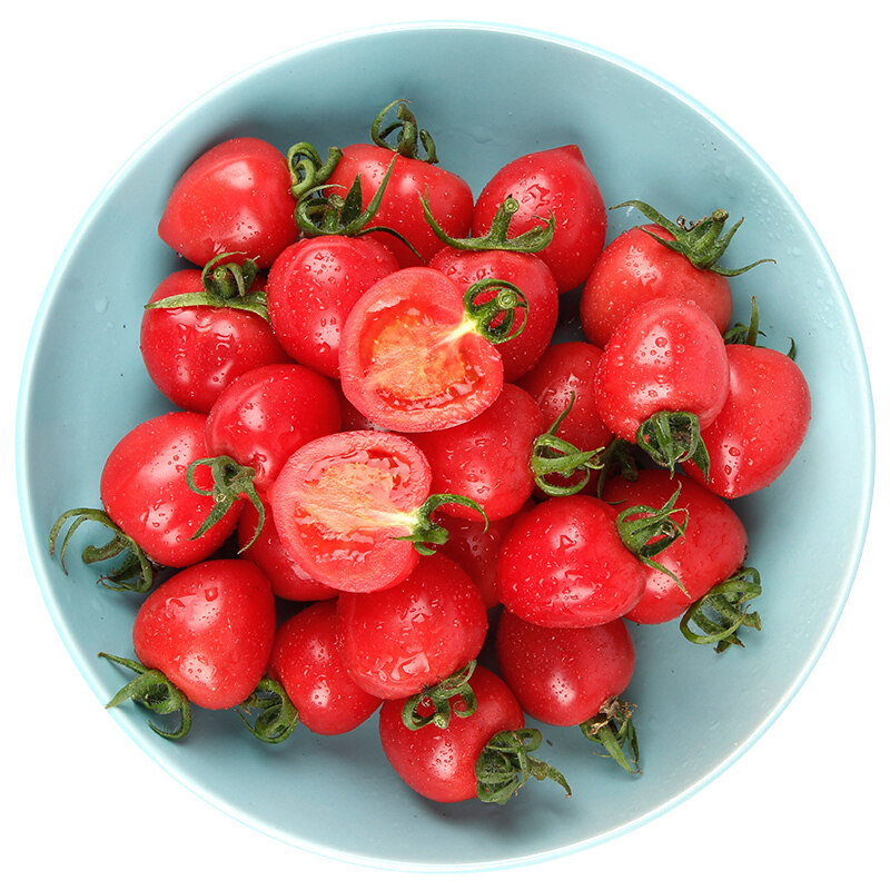 山东千禧贝贝500g番茄