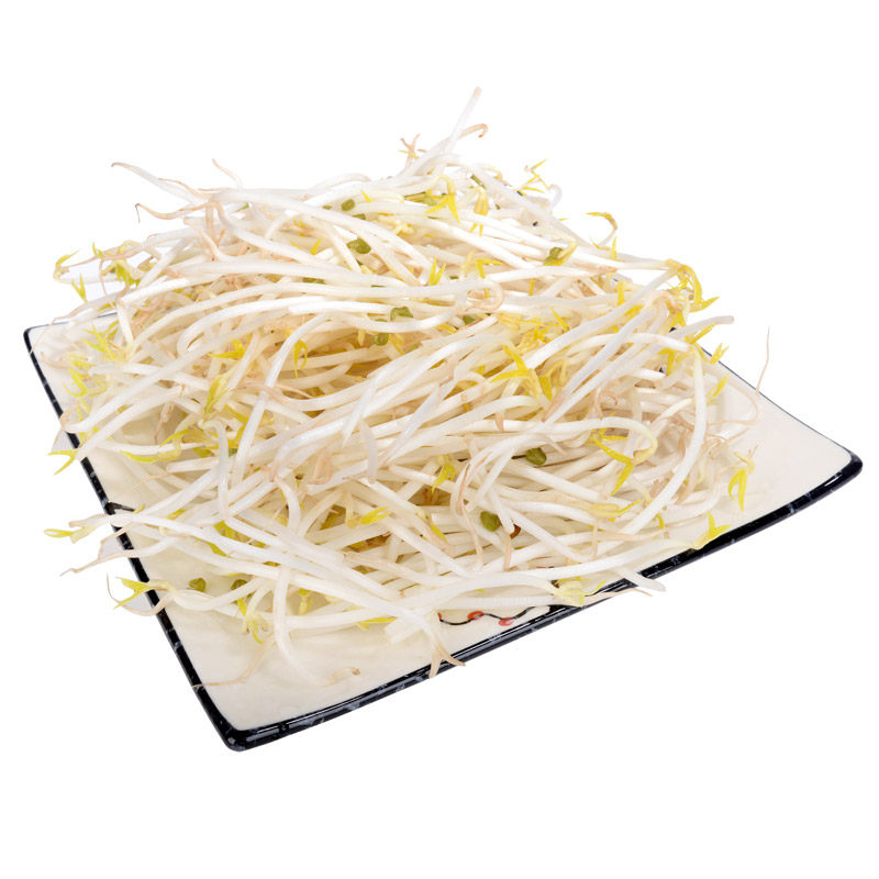 优野绿豆芽新鲜新鲜豆类