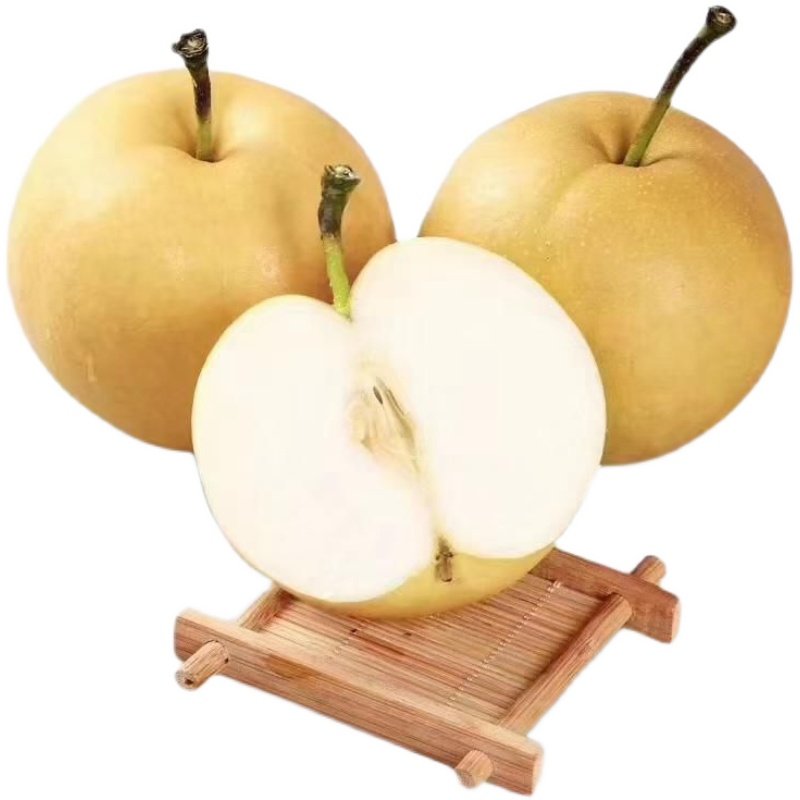 山东当季蜜梨黄蜜梨梨子冰糖现货莱阳水果新鲜梨