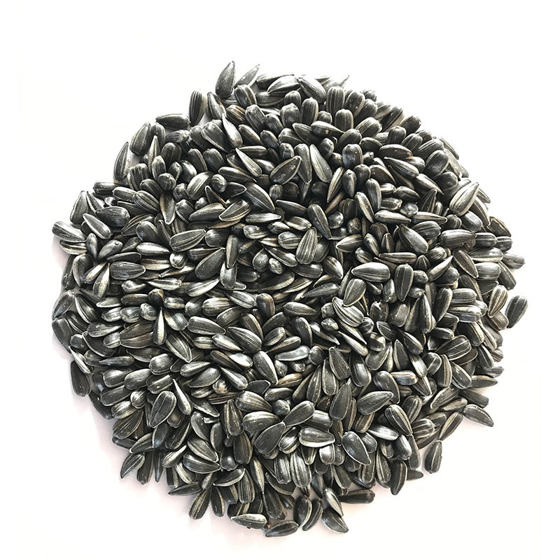 亚岱小镇黑珍珠油葵瓜子东北小油葵花籽包邮散装瓜子